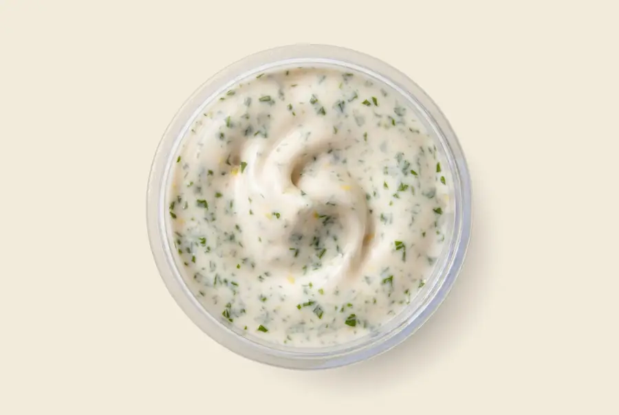 garlic lemon yogurt sauce — creamy mild sauce with parsley, served by the pint